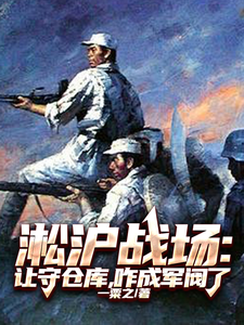 淞沪战场:让守仓库,咋成军阀了